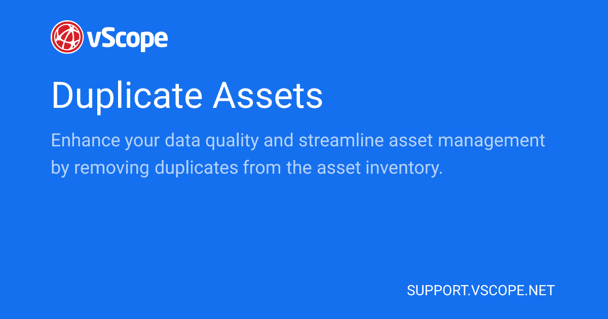 Duplicate Assets | vScope Support Page